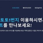 국내 최고의 온라인 스포츠 베팅 플랫폼